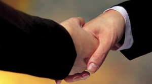 servicios trato