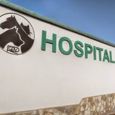 veterinario 1